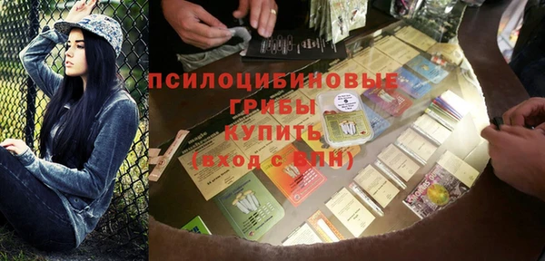 амф Снежногорск