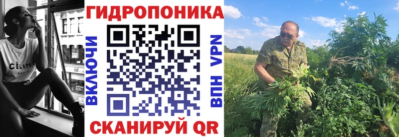 Шишки марихуана гибрид  блэк спрут сайт  Торопец 